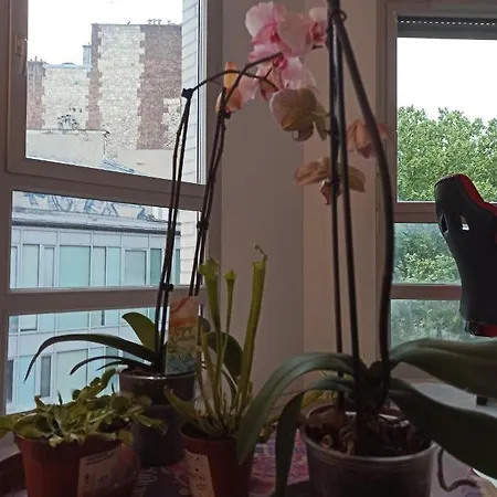 Cozy Student'S Appartement 18'S Paris
